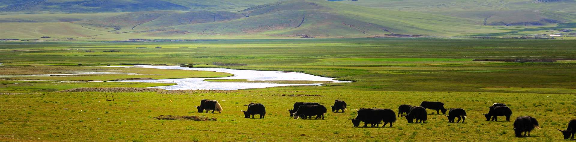 Bhutan